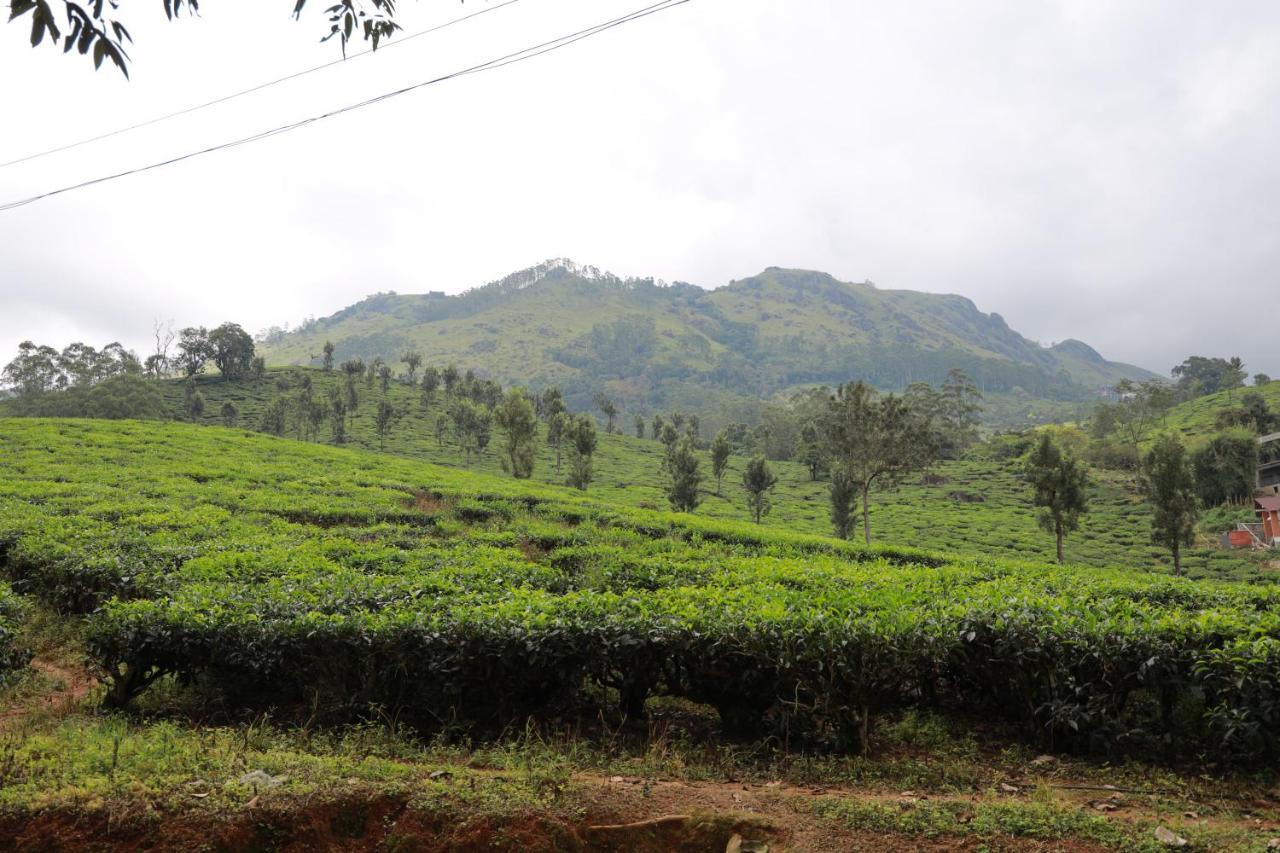 Peace Valley Home Stay Munnar Bagian luar foto
